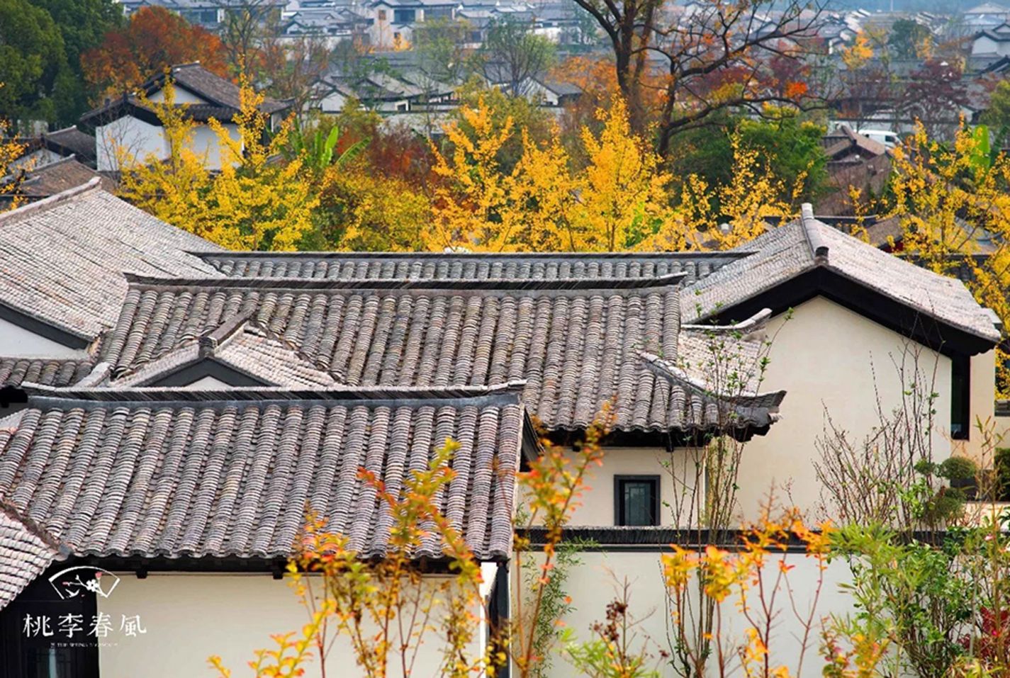 首页 | J9集团有限公司官网